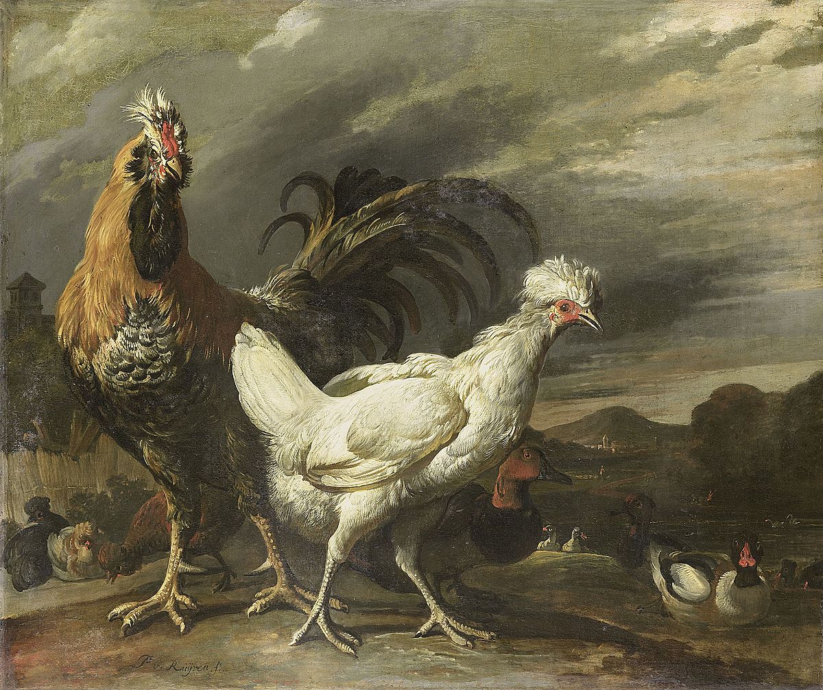 jazz zo veel staal File:Een haan, een kip en ander pluimvee Rijksmuseum SK-A-1315.jpeg -  Wikimedia Commons