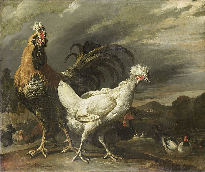 File:Een haan, een kip en ander pluimvee Rijksmuseum SK-A-1315.jpeg