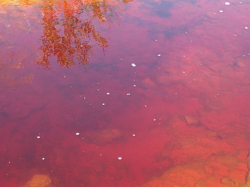 File:El río Tinto a su paso por Niebla, Ildefonso Grados 3.jpg