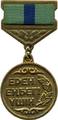 Type 1 medal