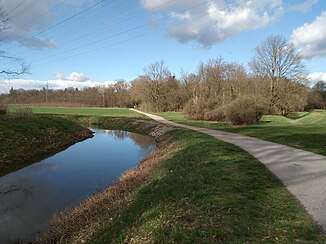 Streich weir to divert high water into the pond forest