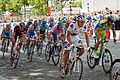 Etape 21 du Tour de France 2009 N7.jpg