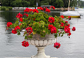 English: The palace garden of the Evangelische Akademie Tutzing in Tutzing. Deutsch: Der Schlosspark der Evangelischen Akademie Tutzing.