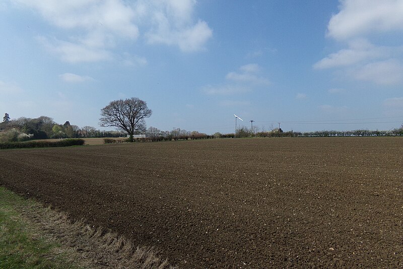 File:Farmland off Lovers Lane Footpath - geograph.org.uk - 5354515.jpg