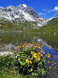 Faulkogel und Zaunersee