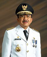 Fauzi Bowo.jpg 