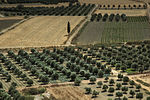 Thumbnail for Agriculture in Greece