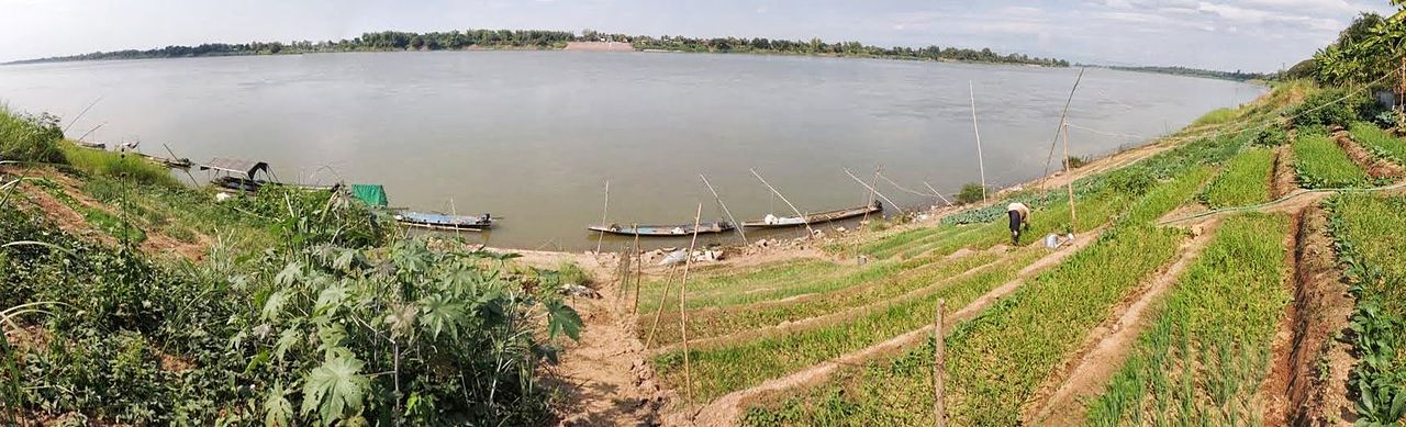 Fishing boats and vegetable gardens on the banks of the Mekong River below our arts guesthouse - panoramio