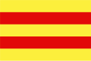 Flagge von Baraya