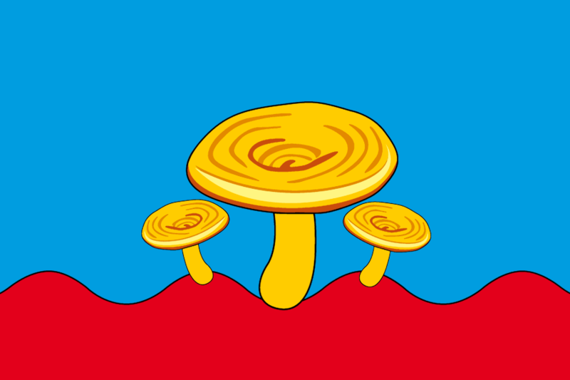 File:Flag of Sunsky rayon.png