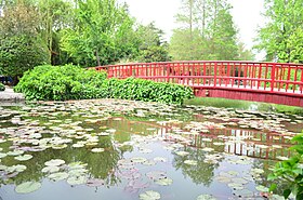 Image illustrative de l’article Jardin des fleurs d'Ispahan