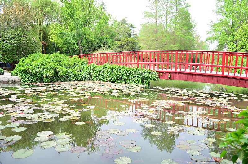 File:Flowers garden Isfahan Aarash (21).jpg