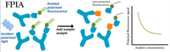 Fluorescence polarization immunoassay (FPIA).png