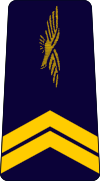 French Air Force-sergeant.svg