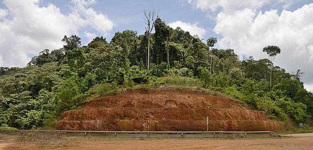 Coupe dans le sol de Guyane, sur la route de Cacao.