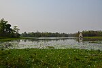 Thumbnail for File:Ganga Mata Temple Siddha Baba Lake Dhangadi Nepal Rajesh Dhungana (7).jpg