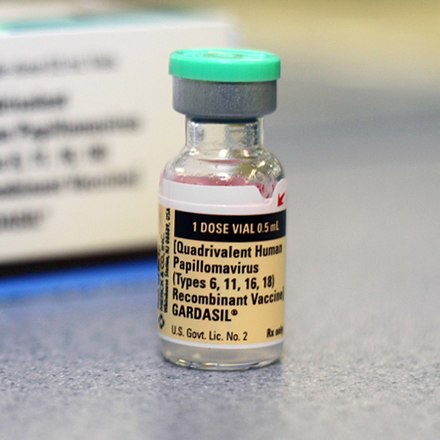 gardasil papillomavírus elleni vakcina