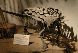 Gargoyleosaurus.png