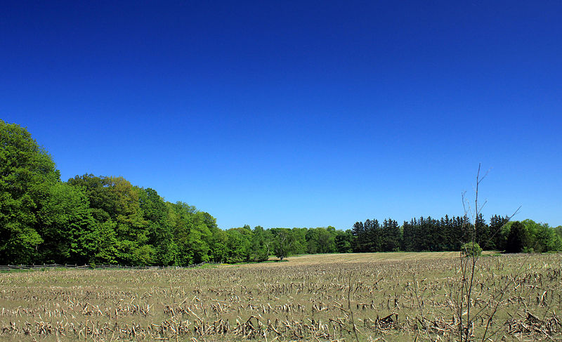 File:Gfp-canada-ontario-bronte-creek-state-park-corn-fields.jpg