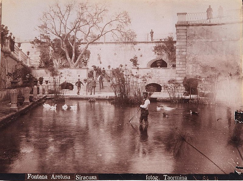 File:Gloeden, Wilhelm von (1856-1931) - n. 0084 B recto - Fontana Aretusa - Siracusa.jpg