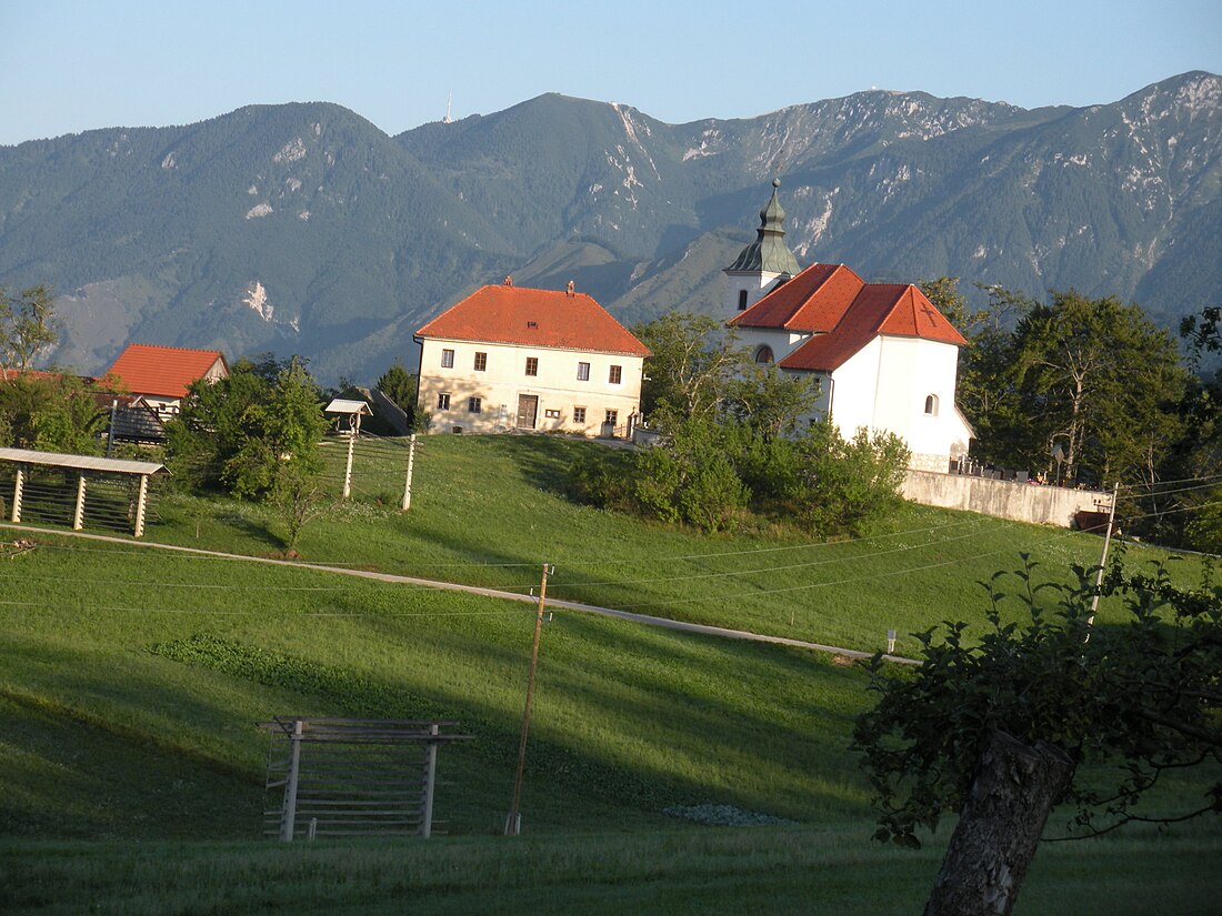 Gozd, Kamnik