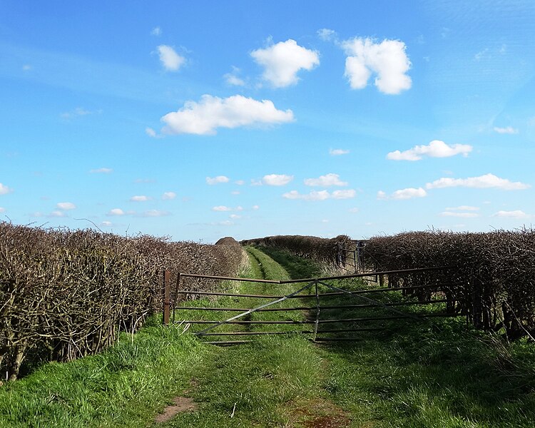 File:Green lane near Elmton Lodge - geograph.org.uk - 3900475.jpg