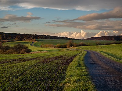 Fields between Kirchlauter and Neubrunn in the Haßberge Mountains