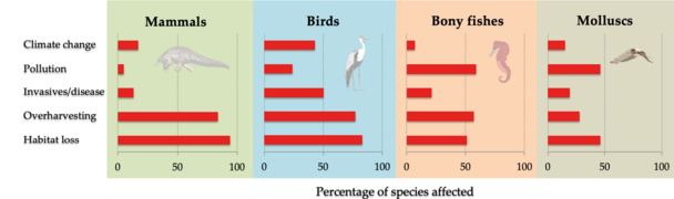 Habitat loss and degradation overharvesting invasive species disease pollution as most important threats to Africa’s mammals birds bony fishs molluscs.png