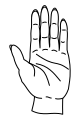 Hand apaumy couped with fingernails.svg