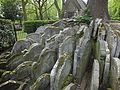 Tree growing up through piles of discarded gravestones