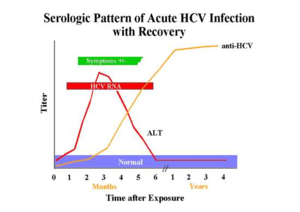 Hepatitt C