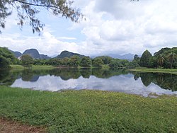 Skyline of Perak State Herb Park