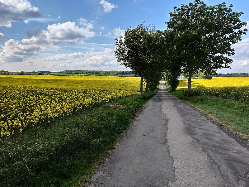 File:Hohenstein, Abschnitt Sturenhagener Weg bis Kaltenhofer Allee; 34.jpg