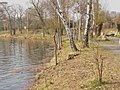 Hohenzollern Kanal - Nordufer (North Bank) - geo.hlipp.de - 35017.jpg