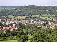 Honiton from the south east.jpg