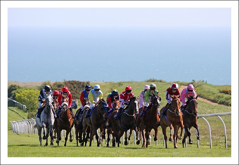 File:Horse racing across the downs at Brighton racecourse.JPG