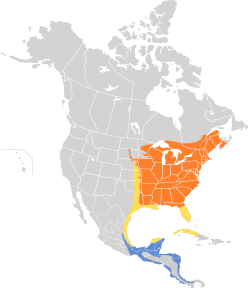 Hylocichla mustelina map.svg