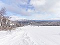 2020年2月3日 (月) 05:26時点における版のサムネイル