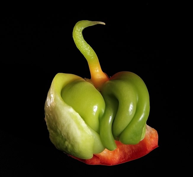 File:IleBaby Bell pepper Capsicum annuum 2.jpg