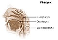 Hình xem trước của phiên bản lúc 05:33, ngày 17 tháng 5 năm 2006