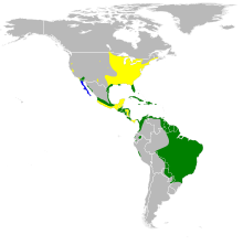 Ixobrychus exilis map.svg