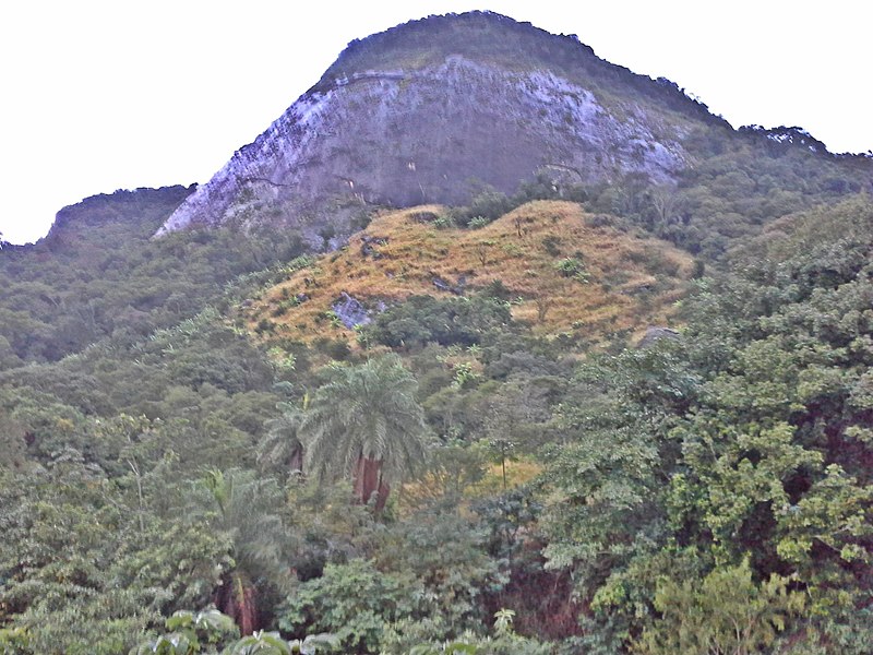 File:Jacarepaguá, Rio de Janeiro - State of Rio de Janeiro, Brazil - panoramio (54).jpg