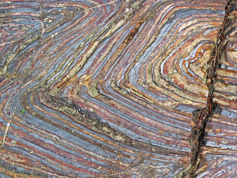 File:Jaspilite banded iron formation (Soudan Iron-Formation, Neoarchean, ~2.69 Ga; Stuntz Bay Road outcrop, Soudan Underground State Park, Soudan, Minnesota, USA) 19 (19224896605).jpg