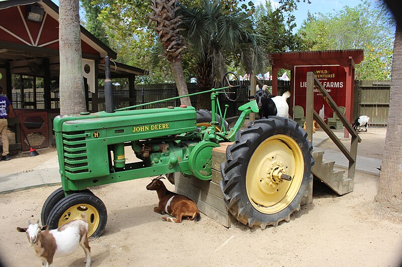 File:John Deere tractor and goats, Liberty Farms Petting Zoo.jpg