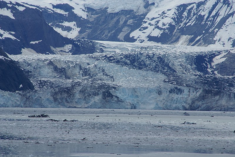 File:Johns Hopkins Glacier (2).jpg