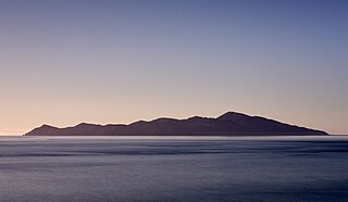 <span class="mw-page-title-main">Kapiti Island</span> Island off the Kāpiti Coast of New Zealand