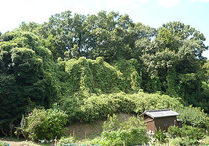 片岡城の本丸跡