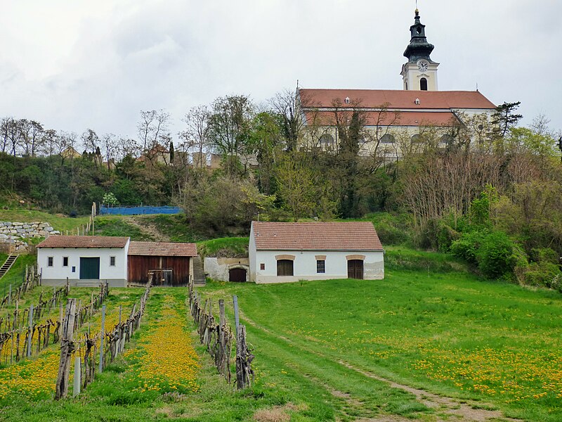 File:Keller Kirchberg am Wagram Wagramkante.jpg