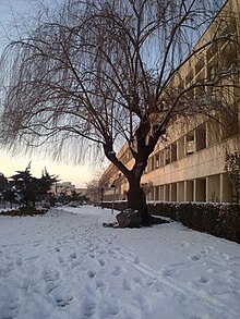 Kharazmi University Winter.jpeg