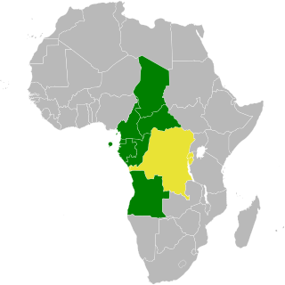 <span class="mw-page-title-main">Kinshasa Convention</span> Regulation of small arms and light weapons